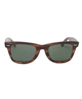 Rayban Brown Plastic Sunglasses